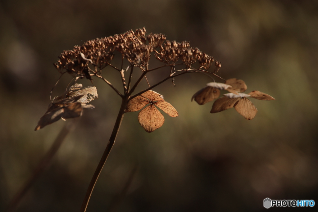 どうされますか？？2