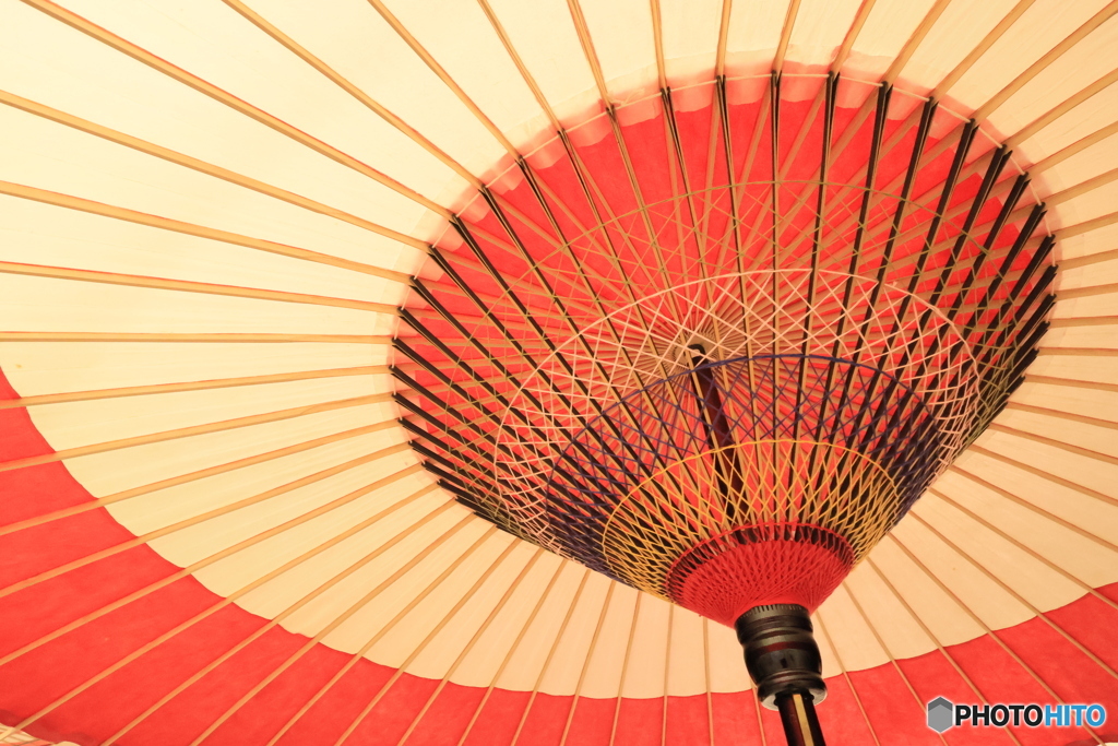 2025四国一人旅6-4