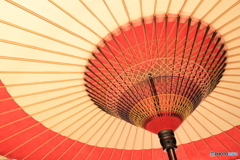 2025四国一人旅6-4