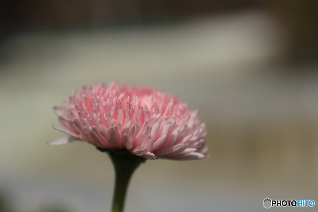 なんちゃってマクロ