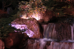 離宮公園ライトアップ4