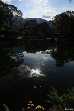 2025四国一人旅4-1