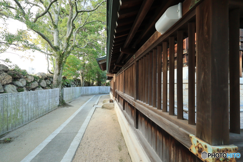 2025四国一人旅5-34