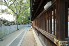 2025四国一人旅5-34