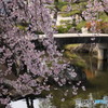 3/31好古園3