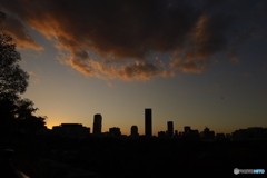 ビルと曇と夕日