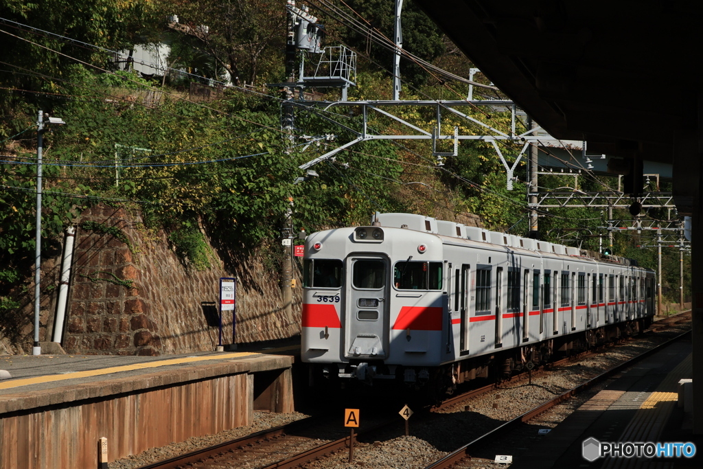 シーサイドエクスプレス