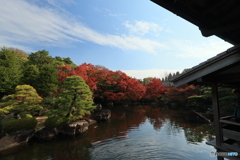 晩秋の好古園11