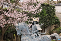 敦盛桜