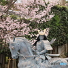 敦盛桜