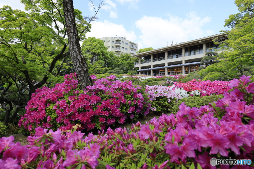 相楽園13
