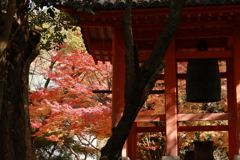 初冬の太山寺22