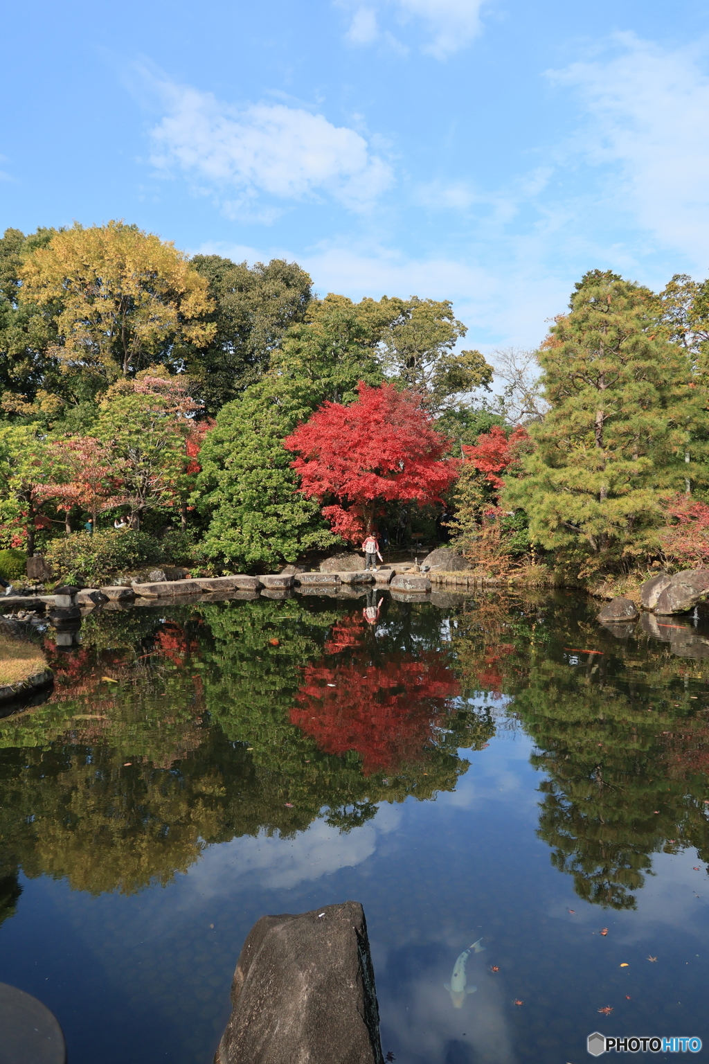 晩秋の好古園13