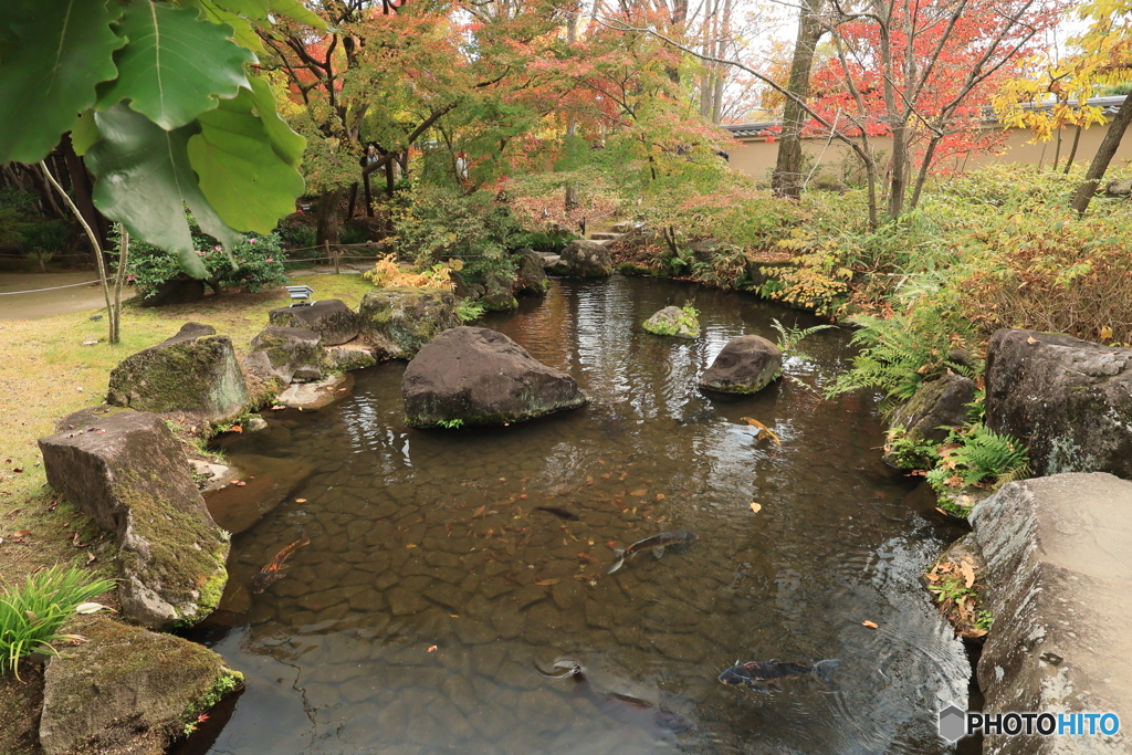 晩秋の好古園27