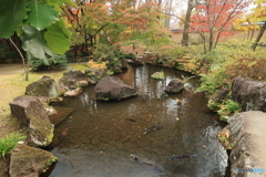 晩秋の好古園27