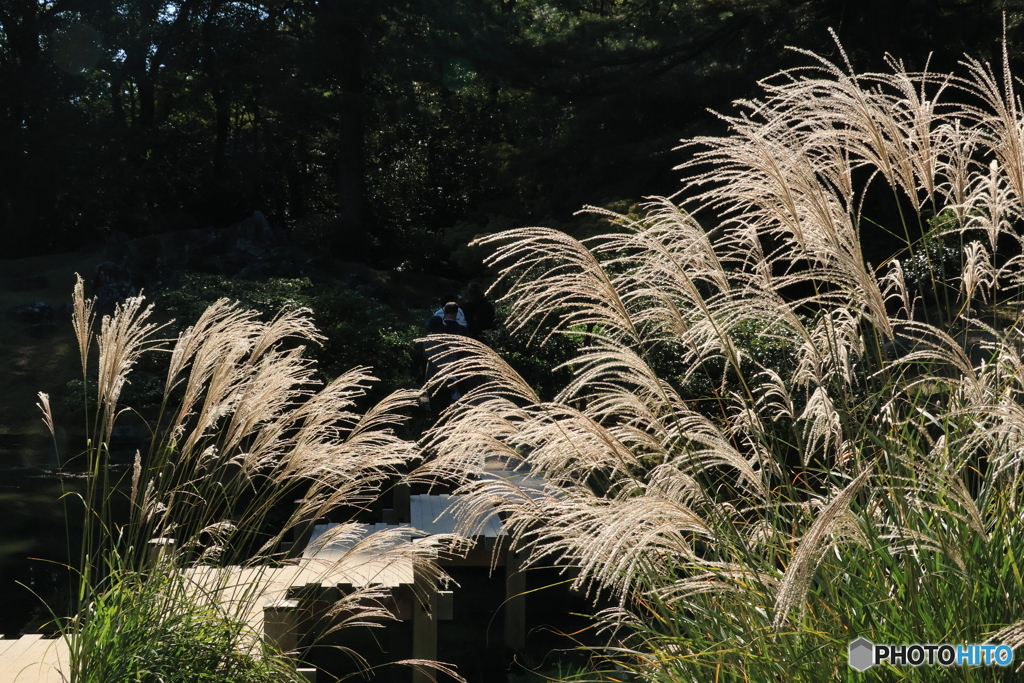 2025四国一人旅11