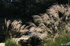 2025四国一人旅11