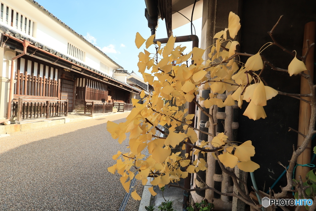 2025四国一人旅6-5