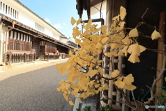 2025四国一人旅6-5