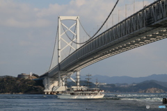 2025四国一人旅6-14