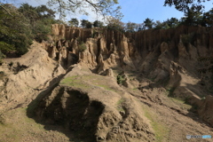 2025四国一人旅6-11