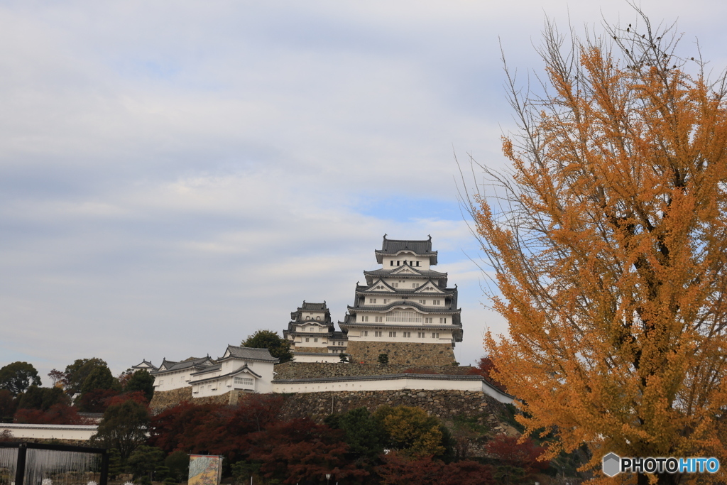 晩秋の姫路城