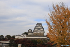晩秋の姫路城