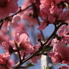 逆光で