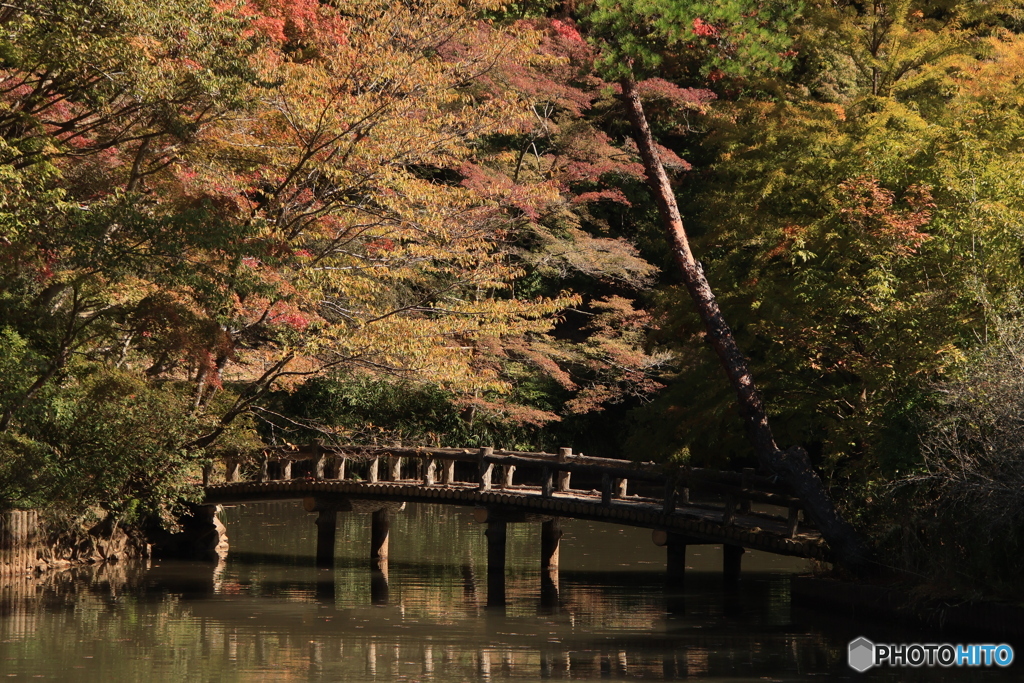 森からの便り22