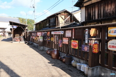 2025四国一人旅4-17