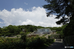 真夏の離宮公園