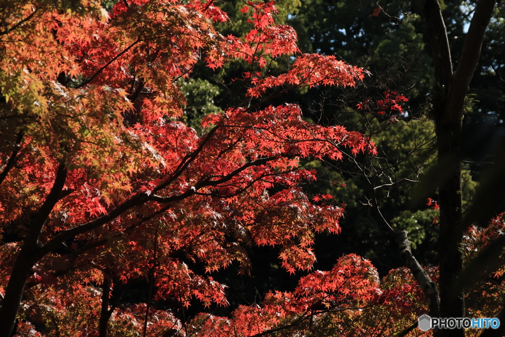 2025四国一人旅2