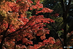 2025四国一人旅2