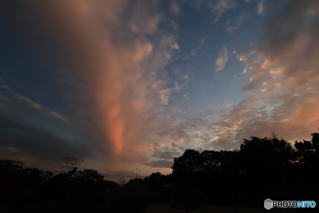 夕刻の離宮公園5
