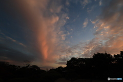 夕刻の離宮公園5