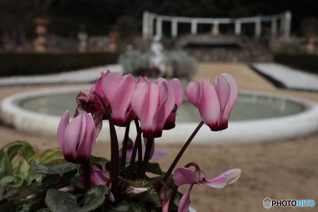 花の庭園