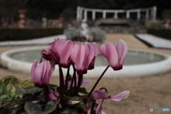 花の庭園