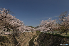 渡る橋の間から