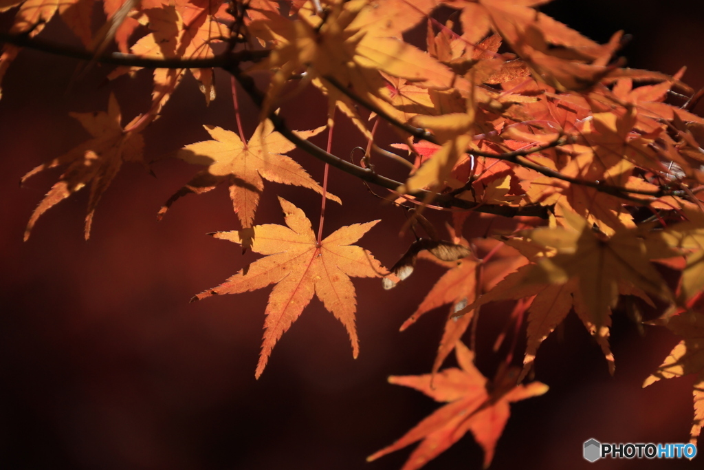 2025四国一人旅5-21