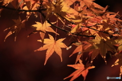 2025四国一人旅5-21