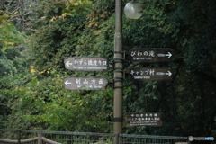 2025四国一人旅2-7