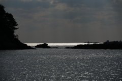 2025四国一人旅3-28