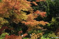 秋を感じる2