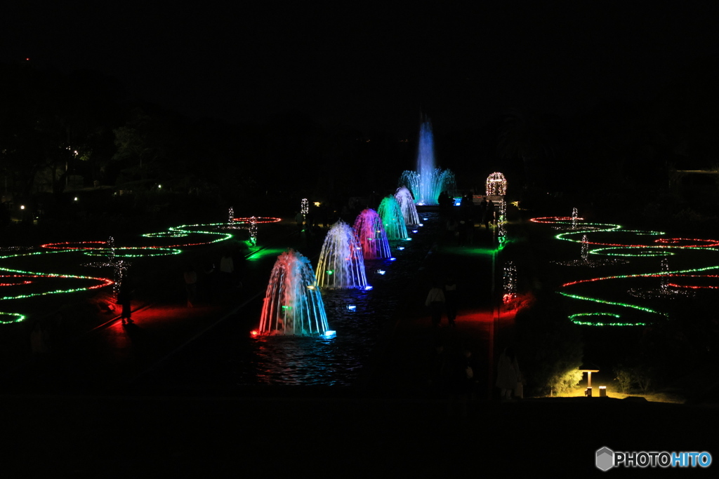離宮公園ライトアップ10