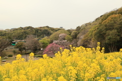 全部盛り
