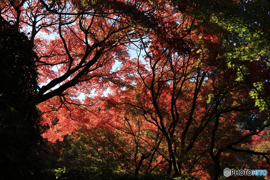 2025四国一人旅5-17