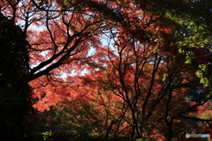 2025四国一人旅5-17