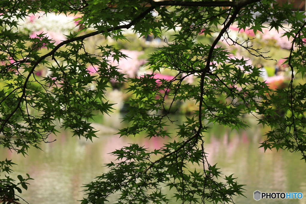 相楽園16