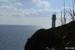 2025四国一人旅3-8