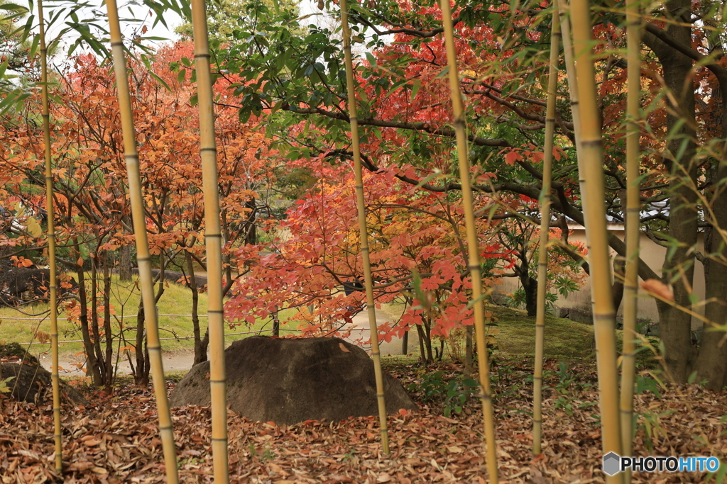 晩秋の好古園34